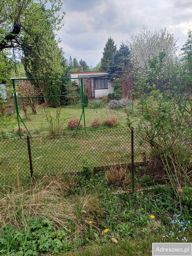 Działka rod Poznań. Zdjęcie 3