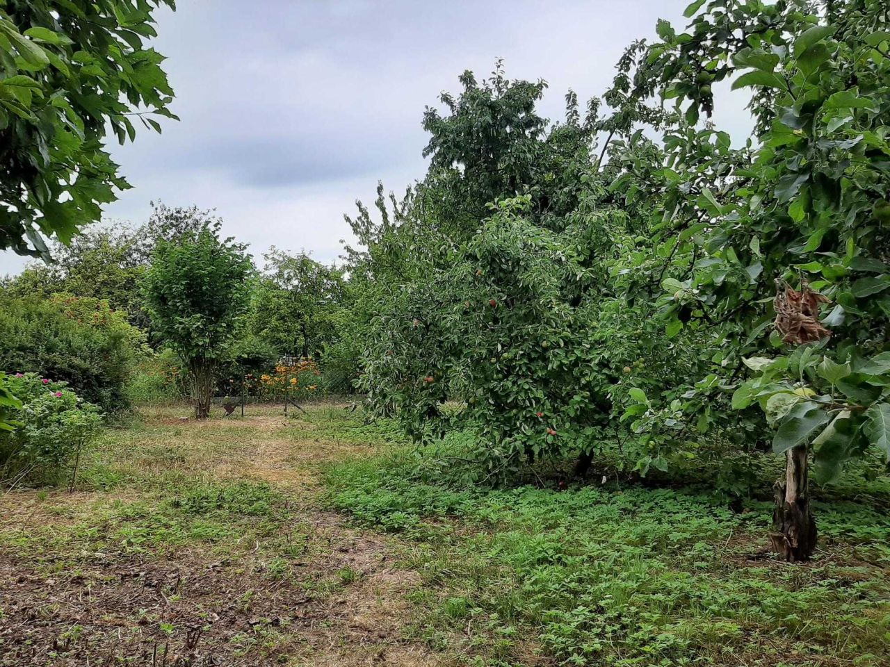 Działka rod Piła. Zdjęcie 8