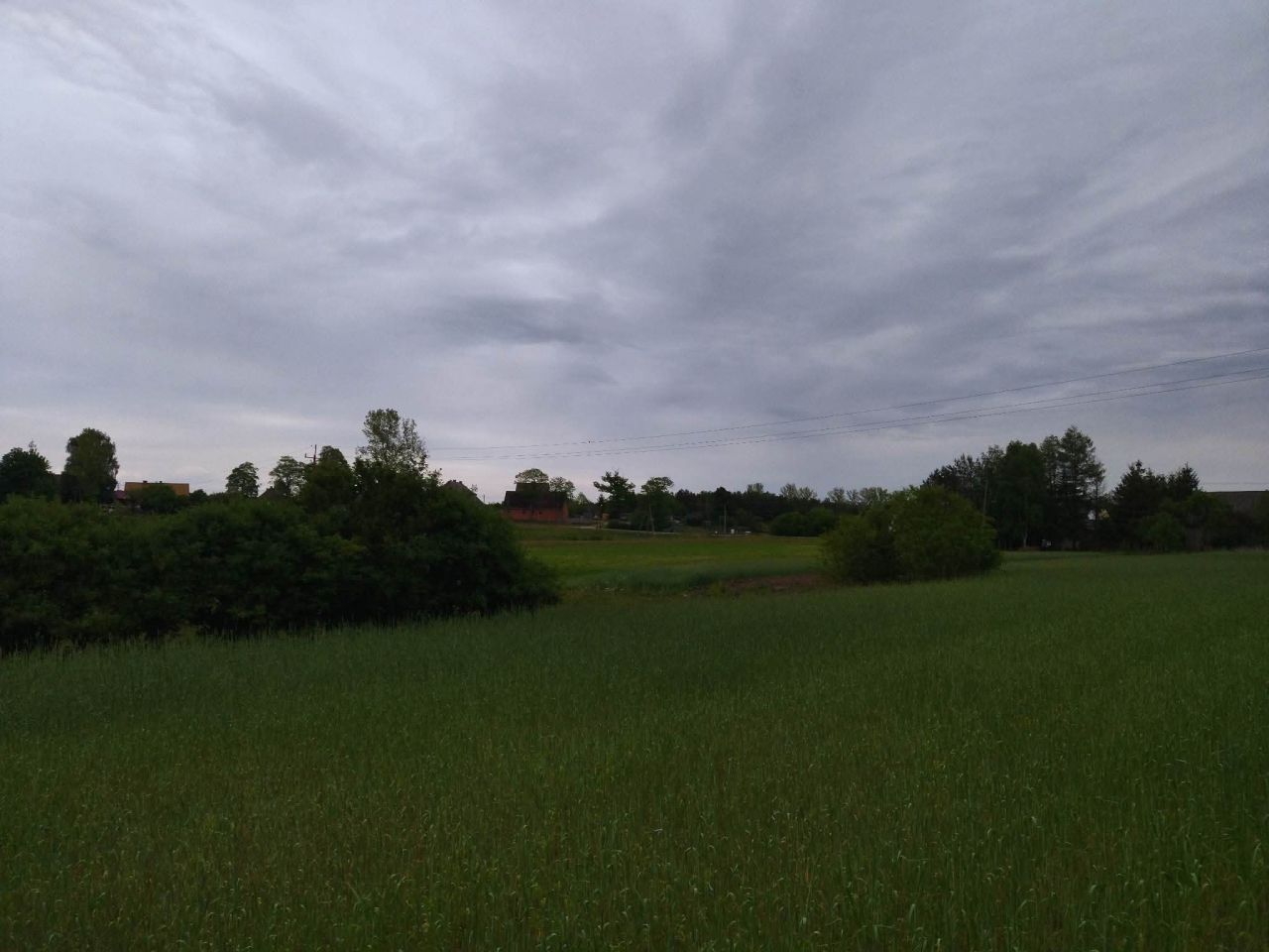 Działka budowlana Świerczyna. Zdjęcie 3