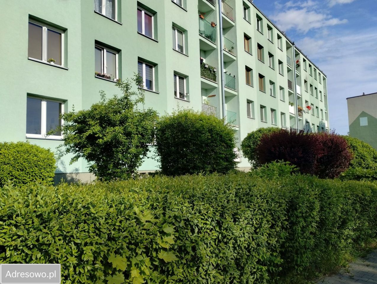 Mieszkanie 2-pokojowe Gliwice Sikornik, ul. Cyraneczki. Zdjęcie 1