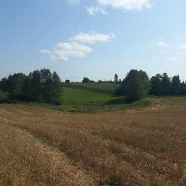 Działka rolno-budowlana Bałamutowo. Zdjęcie 7