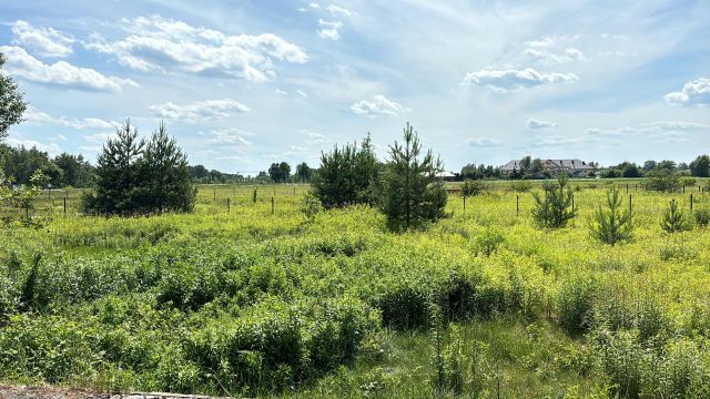 dom wolnostojący, 4 pokoje Stary Dębsk. Zdjęcie 9