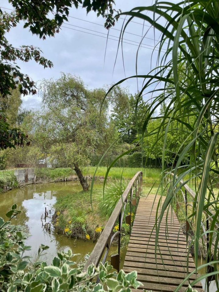 Działka inwestycyjna Skiby. Zdjęcie 2