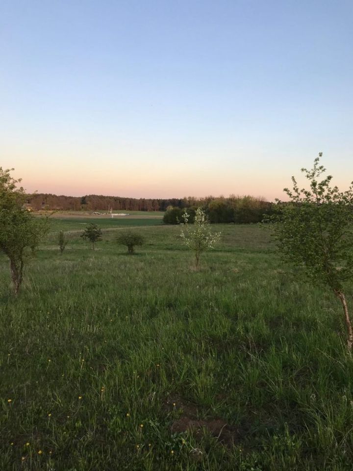 Działka budowlana Kotuń. Zdjęcie 3