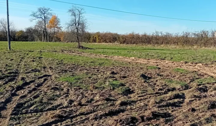 Działka rolno-budowlana Uleniec