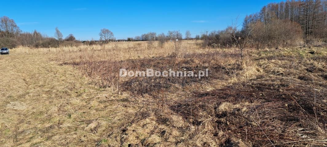 Działka inwestycyjna Borek. Zdjęcie 5