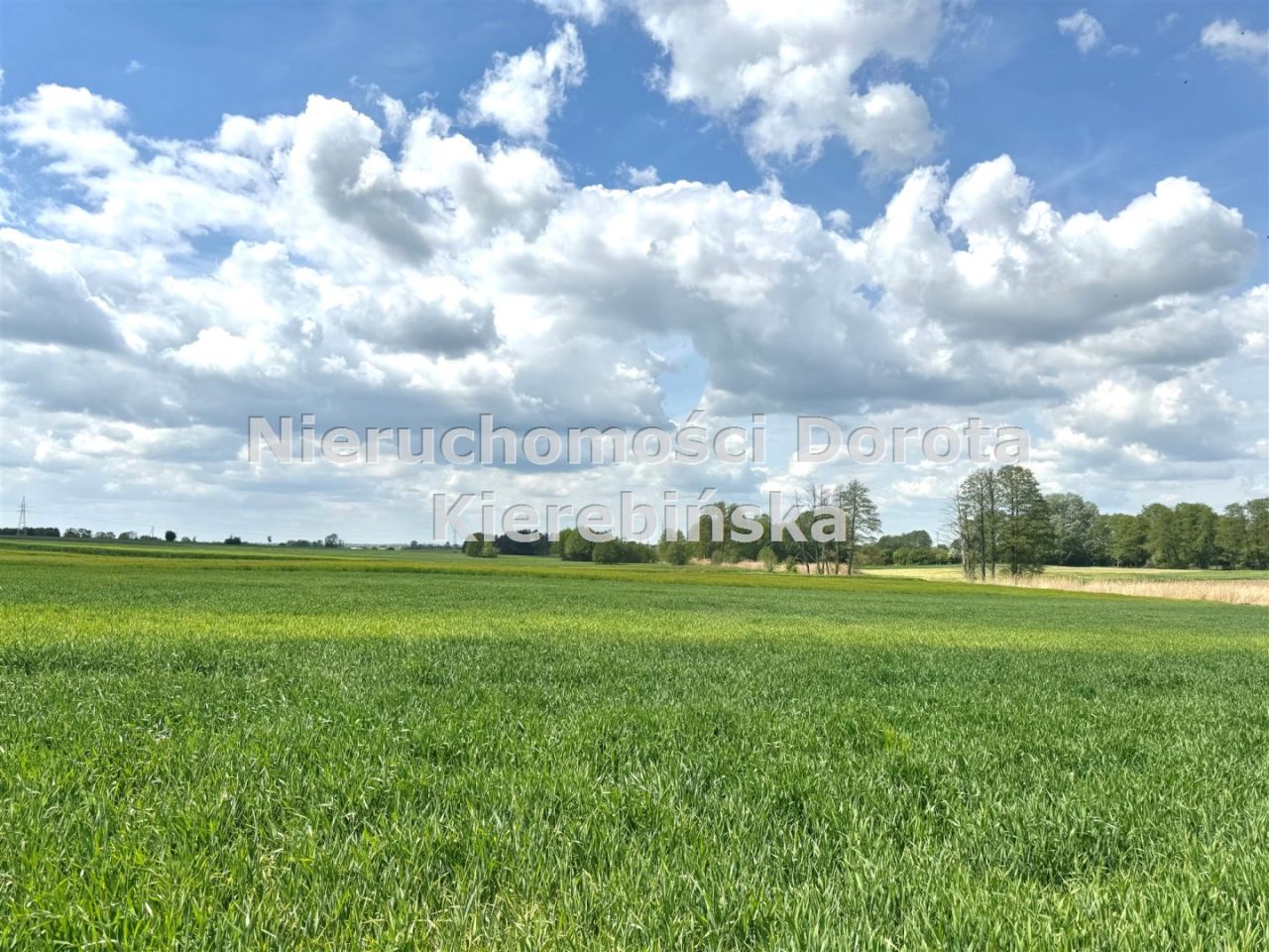Działka inwestycyjna Łaznów. Zdjęcie 10
