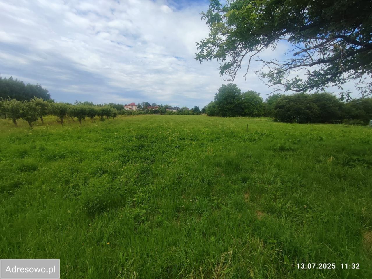 dom wolnostojący, 3 pokoje Bodzechów, ul. Żurawia. Zdjęcie 6