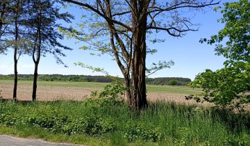 Działka rolna Trzebule