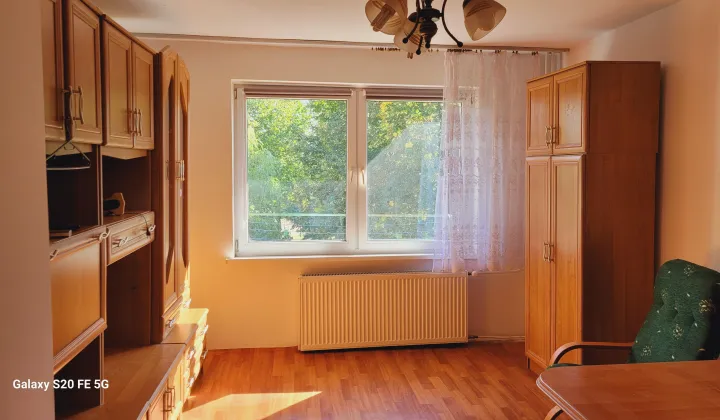 Mieszkanie 1-pokojowe Wopławki