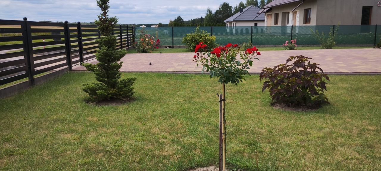 dom wolnostojący, 3 pokoje Basznia Dolna, ul. Wiejska. Zdjęcie 26