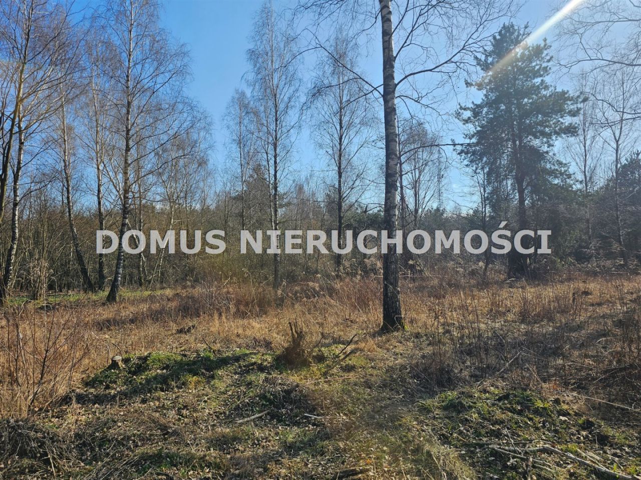 Działka Kopanka. Zdjęcie 4