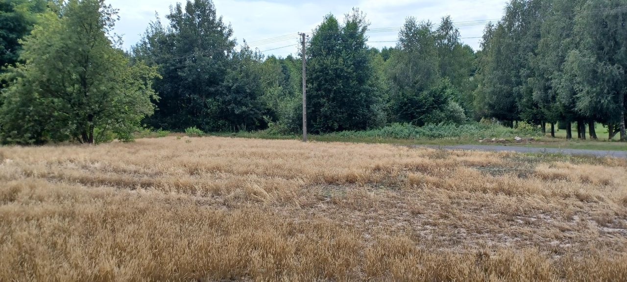 Działka budowlana Bujniczki-Kolonia Kopanina. Zdjęcie 13