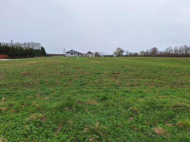 Działka rolna Ruszcza-Płaszczyzna. Zdjęcie 1