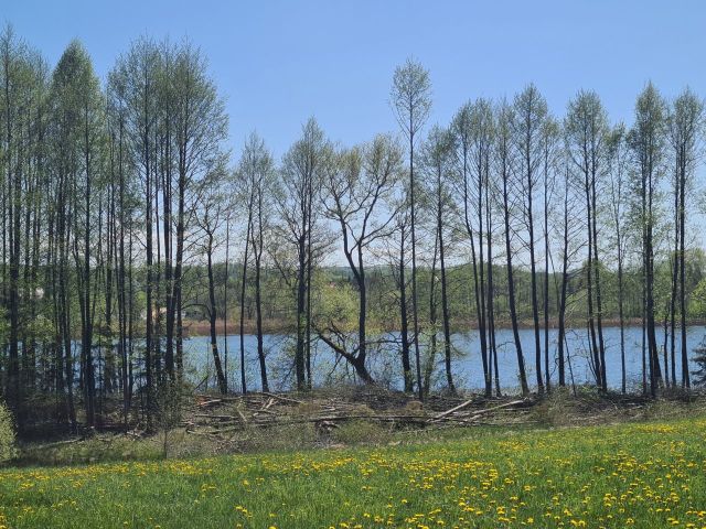 Działka budowlana Łapalice. Zdjęcie 1