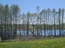 Działka budowlana Łapalice