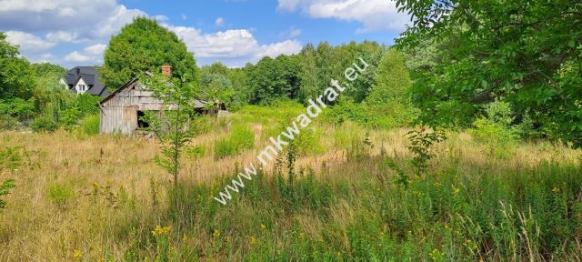 Działka siedliskowa Zimna Woda. Zdjęcie 3