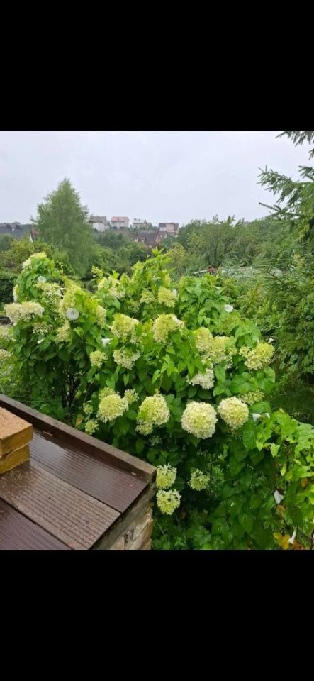 Działka rod Gorzów Wielkopolski. Zdjęcie 4