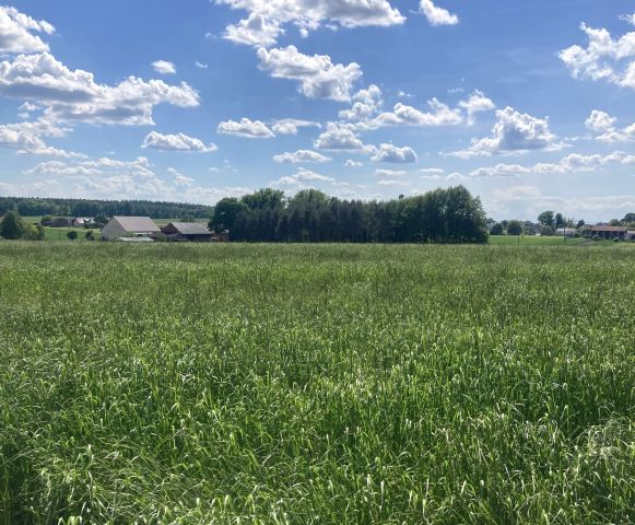 Działka budowlana Wilkowiczki, ul. Górna. Zdjęcie 1