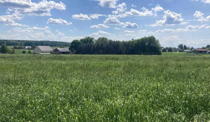 Działka budowlana Wilkowiczki, ul. Górna