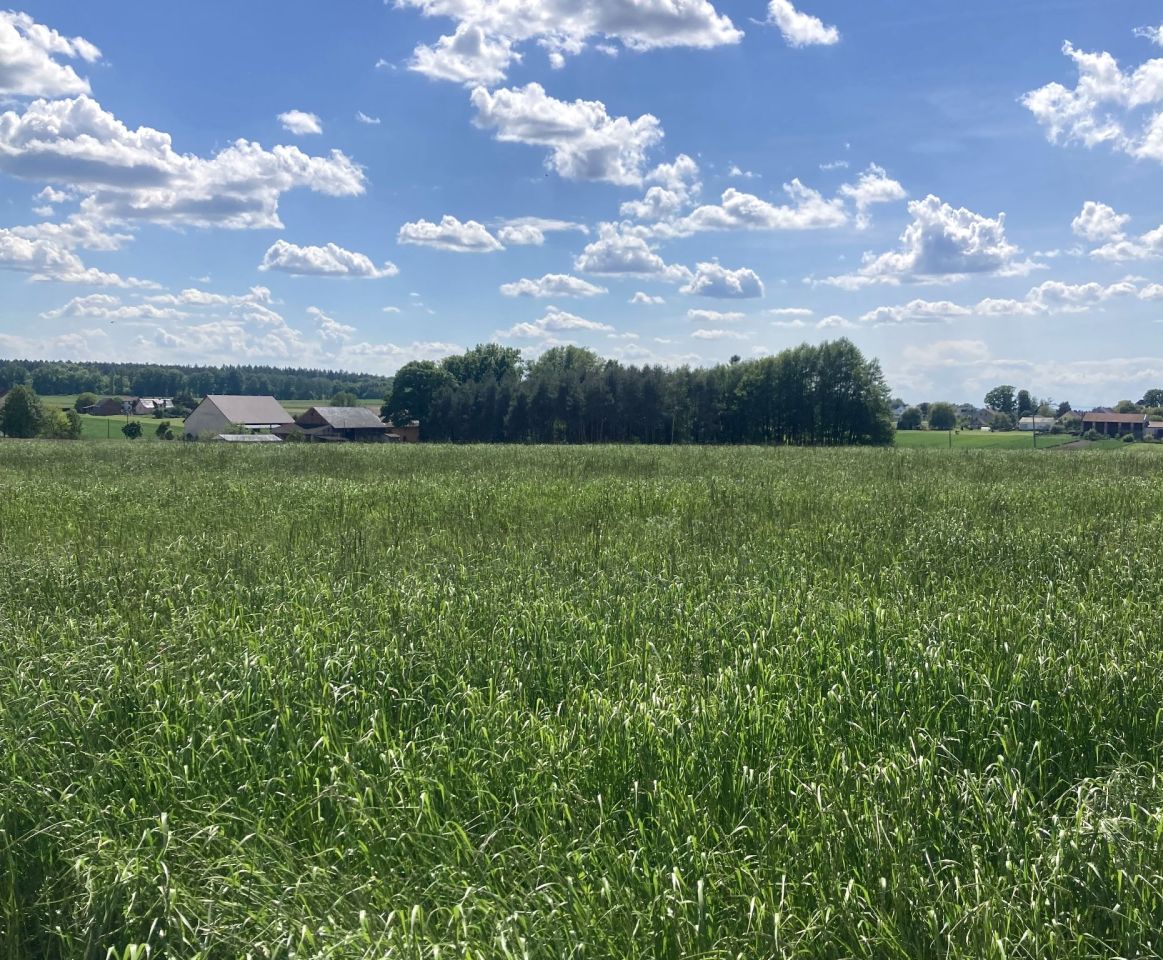 Działka budowlana Wilkowiczki, ul. Górna. Zdjęcie 1