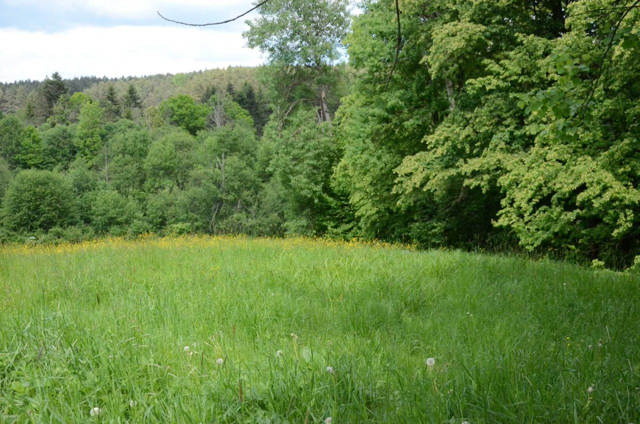 Działka budowlana Skwirtne. Zdjęcie 8