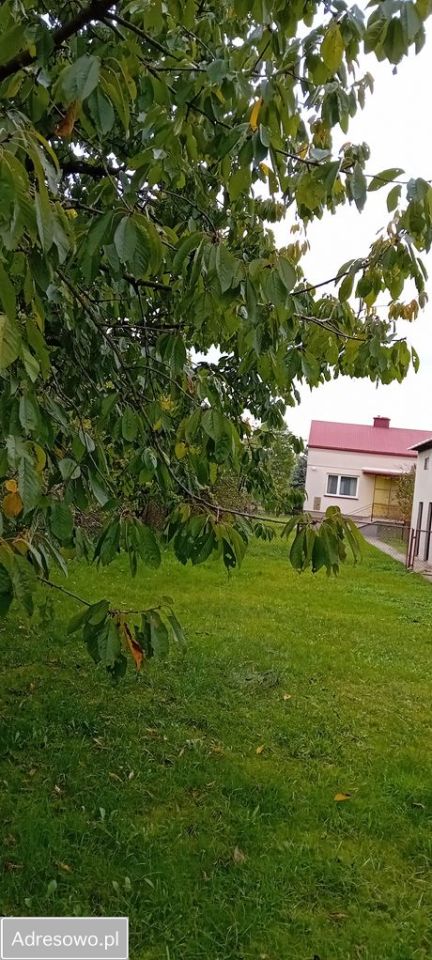 dom wolnostojący, 3 pokoje Gorzędów, ul. Tadeusza Kościuszki. Zdjęcie 6