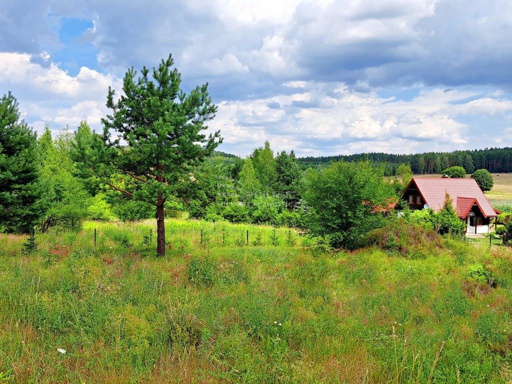 dom wolnostojący, 4 pokoje Kurki. Zdjęcie 7