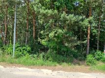 Działka rolno-budowlana Zelgoszcz, ul. Liściasta. Zdjęcie 3