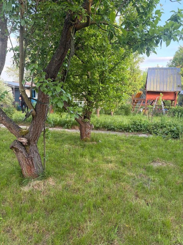 Działka rod Gorzów Wielkopolski. Zdjęcie 7
