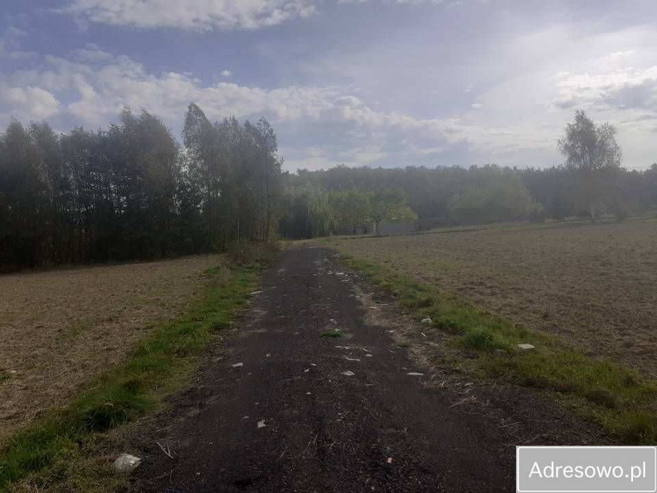 Działka rolna Biała Wieś. Zdjęcie 2