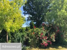 dom wolnostojący, 5 pokoi Świeszewo. Zdjęcie 4