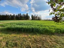 Działka budowlana Dębowiec. Zdjęcie 4