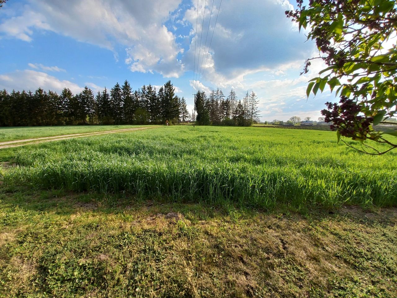 Działka budowlana Dębowiec. Zdjęcie 5