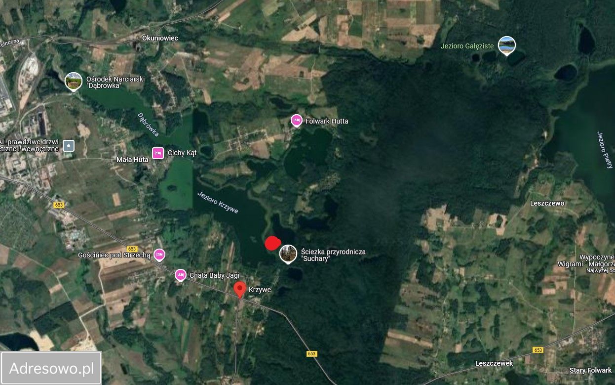 Działka rekreacyjna Krzywe. Zdjęcie 4