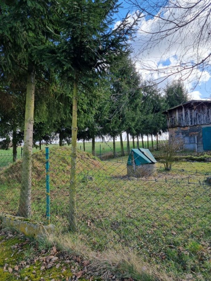 gospodarstwo Nawrocko. Zdjęcie 4