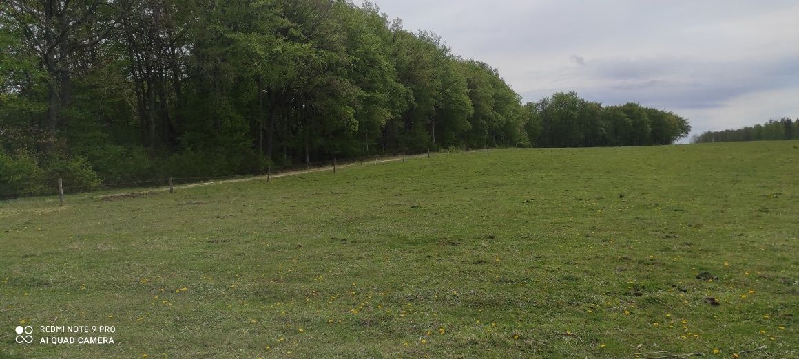 Działka rolno-budowlana Ciekocino. Zdjęcie 2