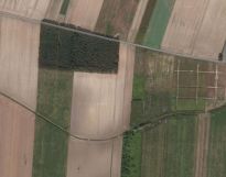 Działka rolna Teresin. Zdjęcie 1