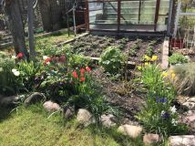 Działka rod Gdańsk Matarnia. Zdjęcie 4