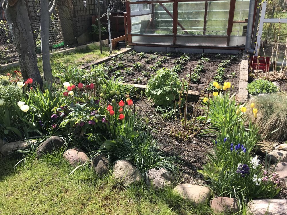 Działka rod Gdańsk Matarnia. Zdjęcie 5