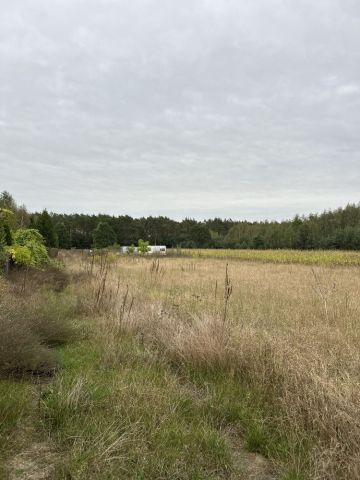 Działka budowlana Zofibór. Zdjęcie 1