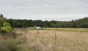 Działka budowlana Zofibór