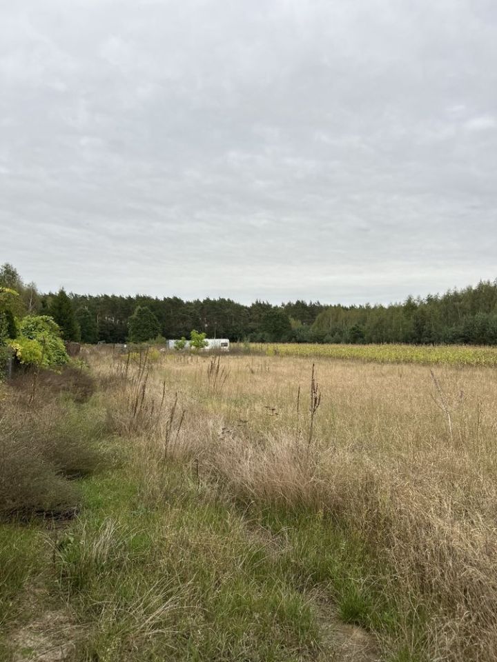 Działka budowlana Zofibór