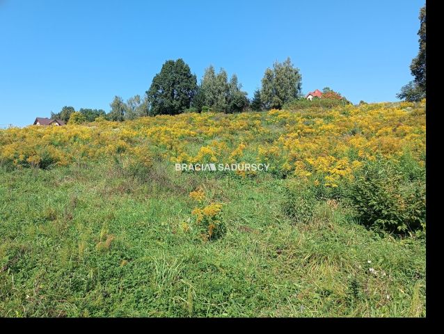 Działka budowlana Sygneczów. Zdjęcie 3