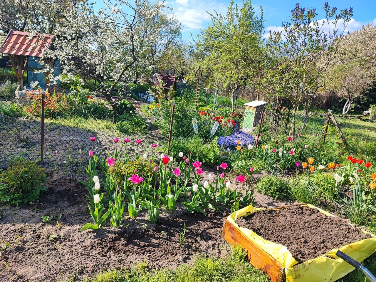 Działka rod Gorzów Wielkopolski. Zdjęcie 2