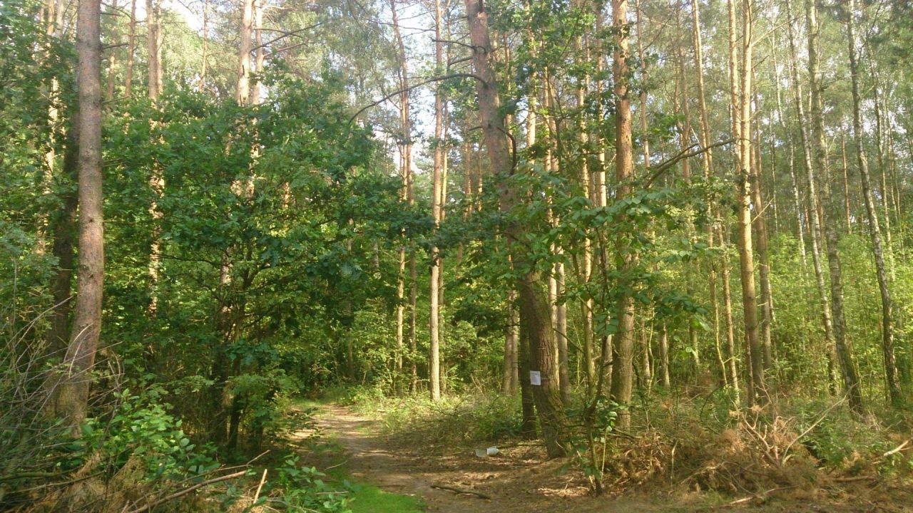 Działka rolno-budowlana Psary. Zdjęcie 3