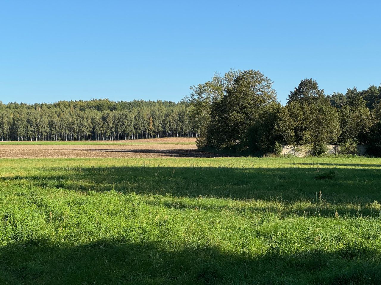 Działka budowlana Mława Krajewo, ul. Krajewo. Zdjęcie 4