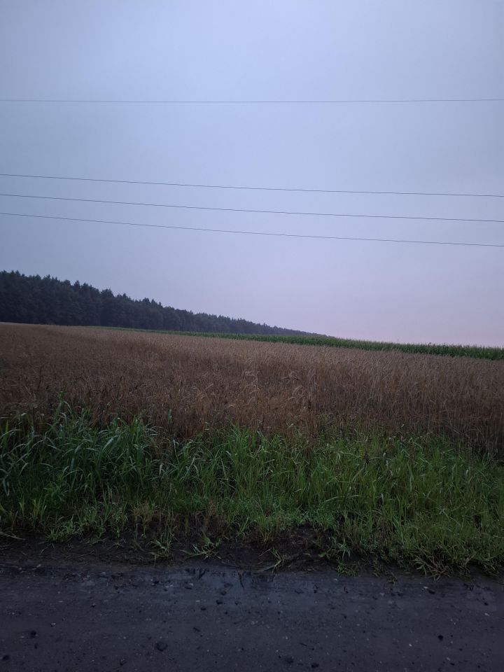 Działka budowlana Wierzbno, ul. Leśna