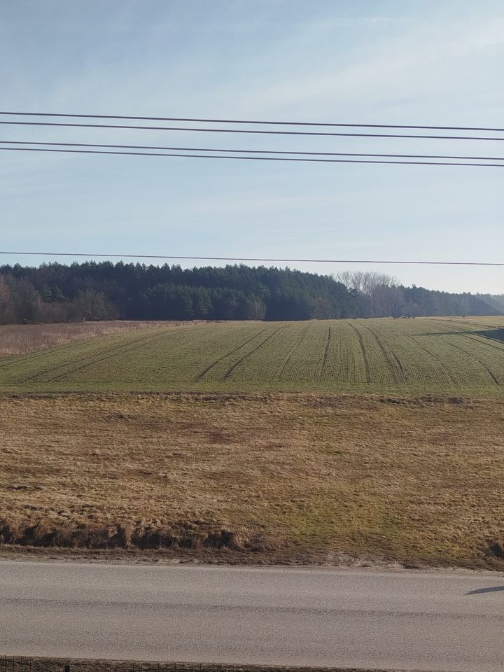 Działka rolno-budowlana Tarnawa Górki. Zdjęcie 4