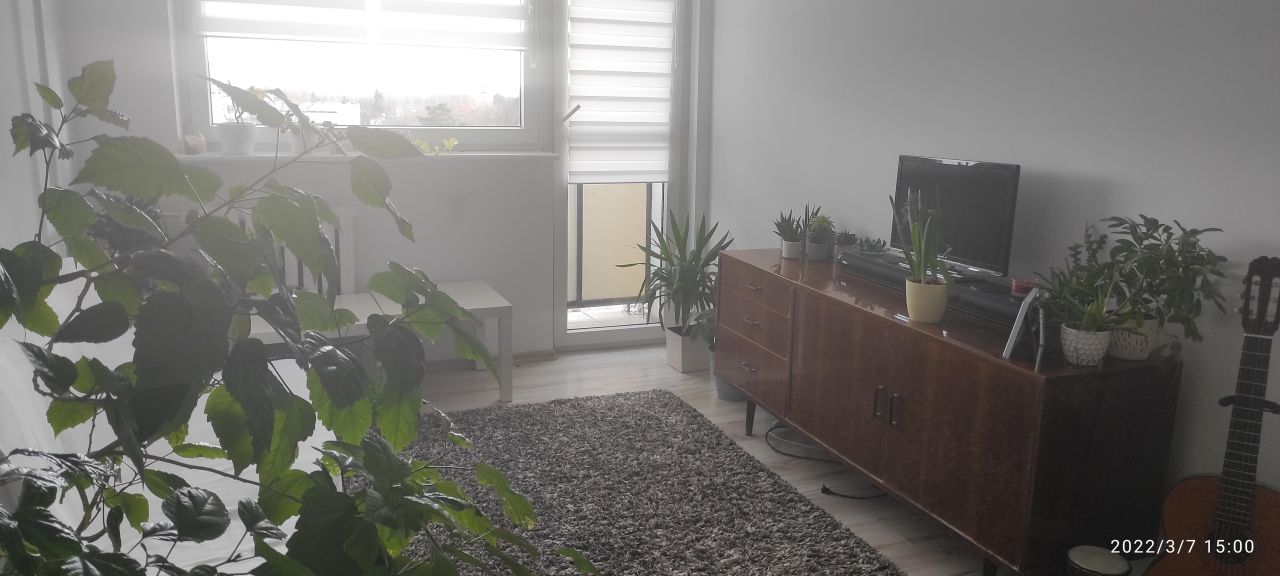 Mieszkanie 2-pokojowe Poznań Winiary, ul. Turkusowa